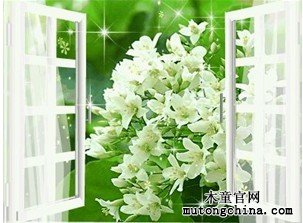  開窗通風降低室內甲醛濃度